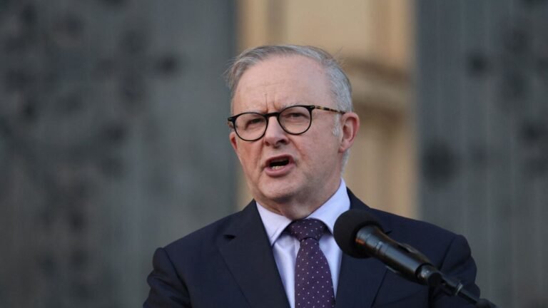 Australian PM Albanese announces gun buyback scheme after Bondi Beach shooting — What does it mean? | Today’s news