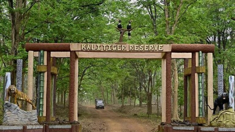 Doubts cast a shadow over the KTR relocation project