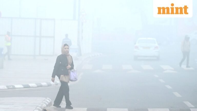 Delhi Weather, AQI Today: IMD issues orange alert for fog, cold wave; Information Consultancy for Air India, IndiGo, SpiceJet | Today’s news