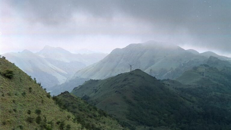 New Year 2026: Kodagu Police issues guidelines against consumption of drugs and noise