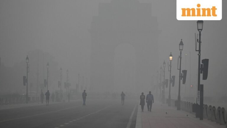 Cold wave, fog sweeps through northern and eastern India; scientists say good for rabi crops | Today’s news