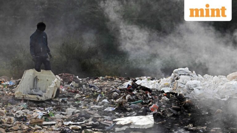 MCD Proposes ₹16,530 Crore Budget: No New Tax in Delhi, Three Dog Shelters, Sanitation Top Priority – 15 Points | Today’s news