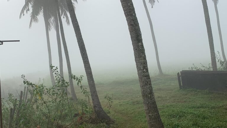 It is a normal winter for Kerala in December