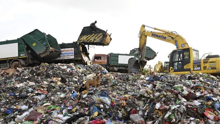 Improved waste segregation increases RDF collection in Bengaluru, says BSWML