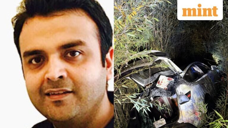 Who is Vikram Beri? Indian-origin millionaire arrested in US for Tesla crash while trying to set fire to winery | Today’s news