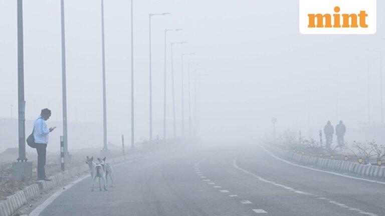 Air quality in Delhi remains “very poor”; MeT warns of dense fog on Monday 29 December | Today’s news