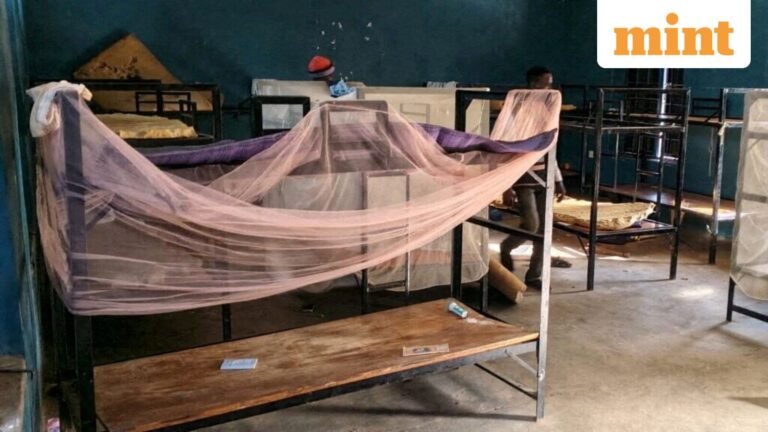 100 kidnapped schoolboys released, fate of 165 unknown as Nigeria tackles one of its worst mass kidnappings | Today’s news