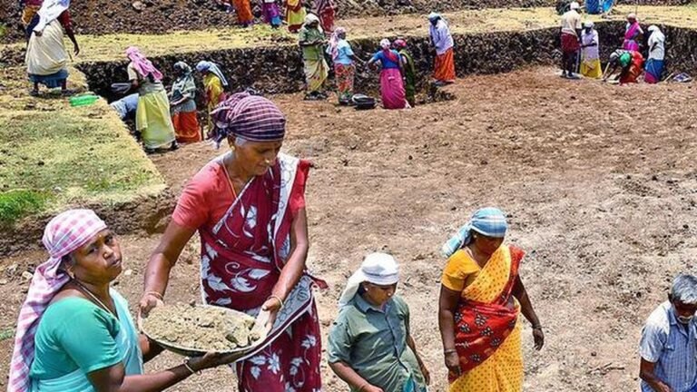 Bogus claims under MGNREGA will not be met: Centre