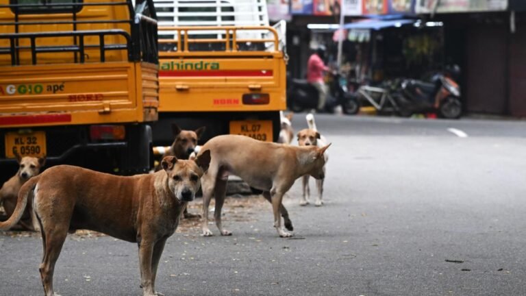 The State Animal Welfare Board is pushing for stricter vaccination measures for stray dogs in Kerala