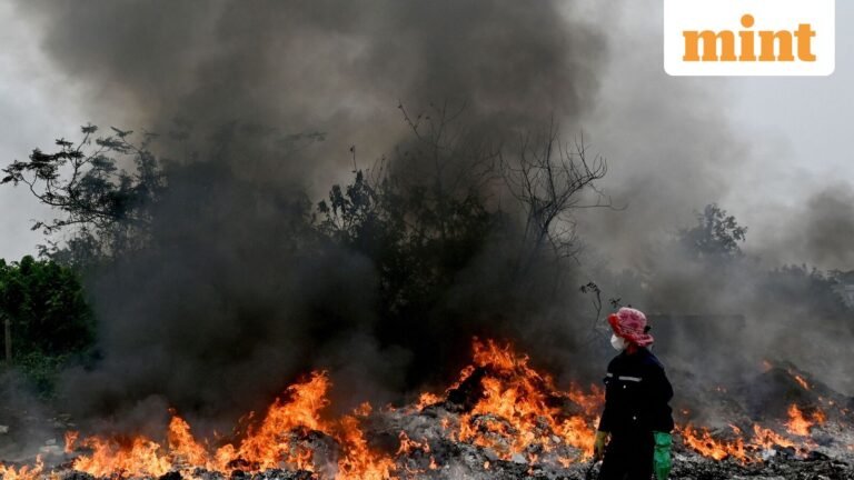 Delhi AQI reaches ‘severe’: Here’s what air pollution does to your body and who is most affected by air pollution? | Today’s news