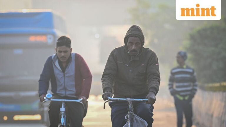 Delhi shivers after coldest November in 5 years; this week the temperature is expected to drop more | Today’s news