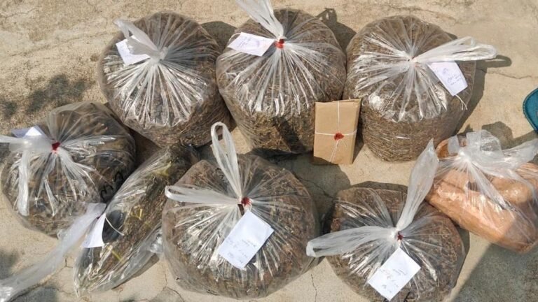 Eight arrested with nearly 16 kg of ganja in raids in Hyderabad