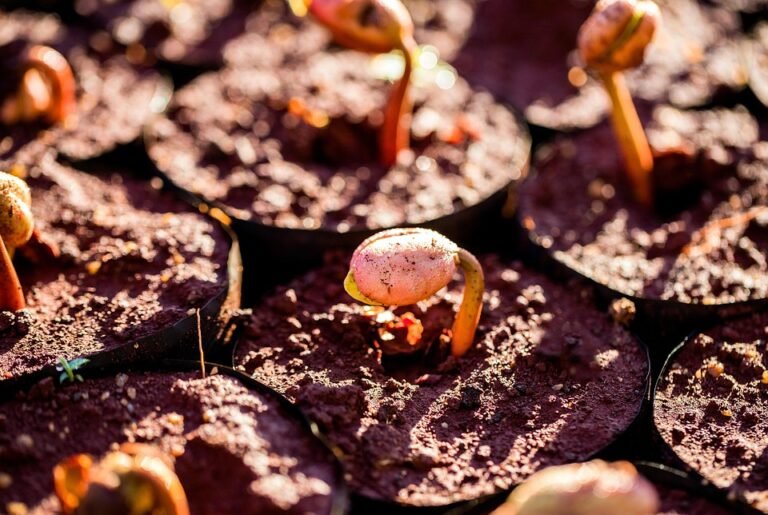 Higher Rankings: Google is increasingly sophisticated and…