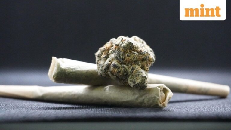 A big shift in US drug policy? Trump Likely to Ease Restrictions on Use and Sale of Marijuana, Stocks Fly High | Today’s news