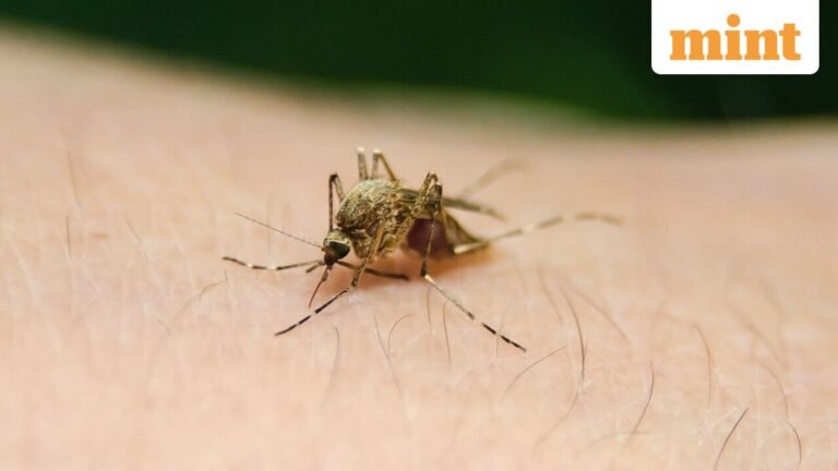 India accelerates enforcement of 2009 ban on single-use malaria pills