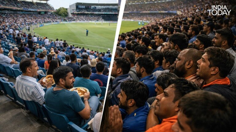 Queues, cages and chaos: Cricketing superpower India must treat its fan better