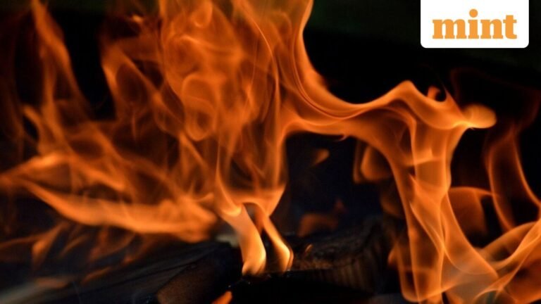 Goa nightclub fire: Eyewitness recounts moments after blast, “heard loud blast, later…” | Today’s news