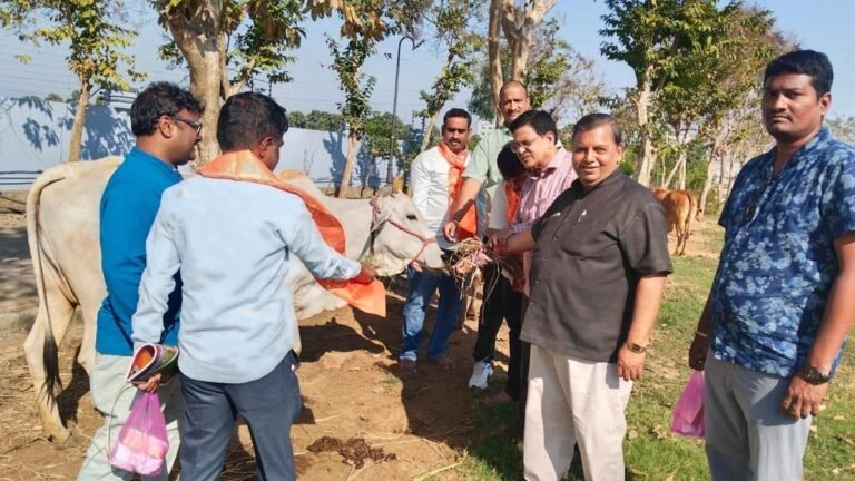 The weekend reinforcement will extend the Sankranti spirit in Vizianagaram in Srikakulam villages