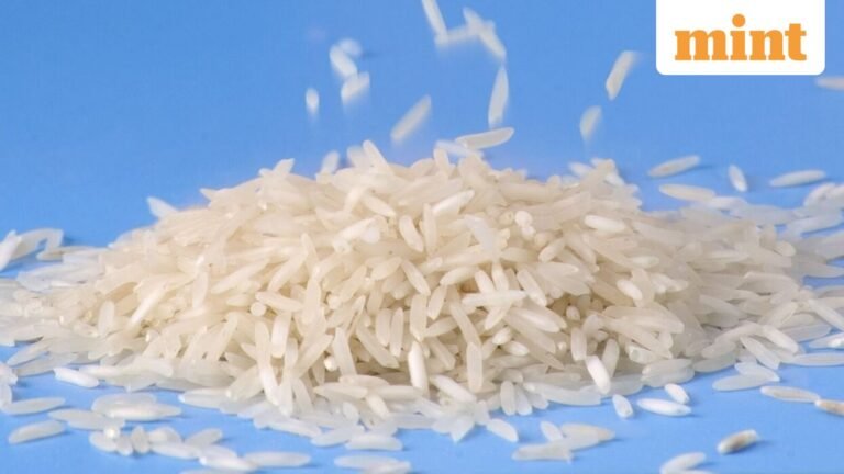 Govt to meet basmati exporters amid US threat of tariffs on Iran issue | Today’s news