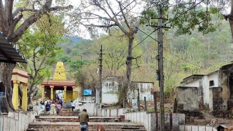 Chamundi Betta walks on February 1 to protest against construction work on the hills