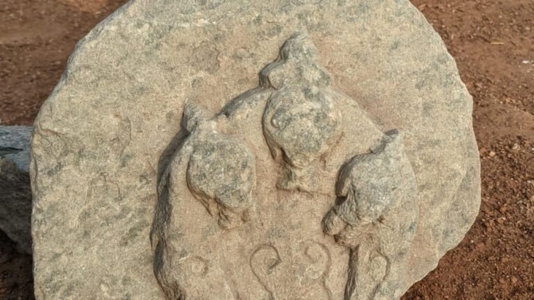 A stone carving of a three-headed serpent among the relics found during the excavations at Lakkundi
