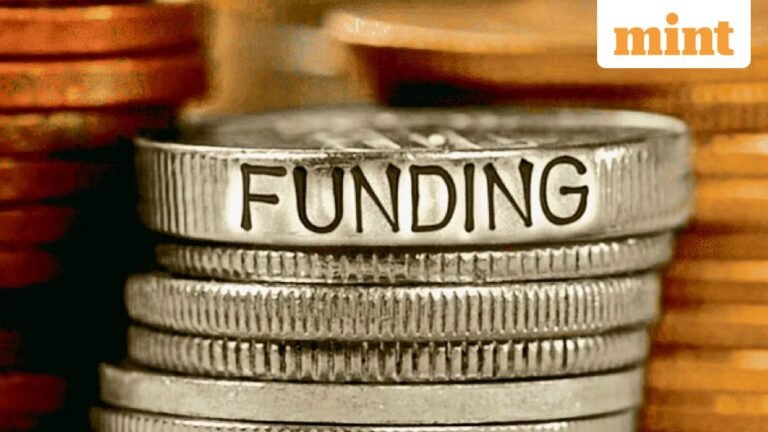 Economic Survey: Can profits continue to be India Inc’s primary source of finance?