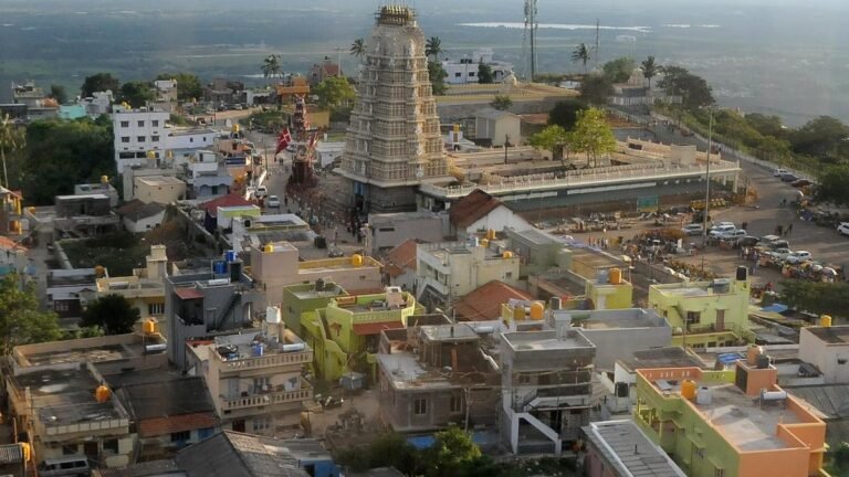 Greens question the implementation of the PRASHAD scheme in Chamundi Hills without environmental impact assessment