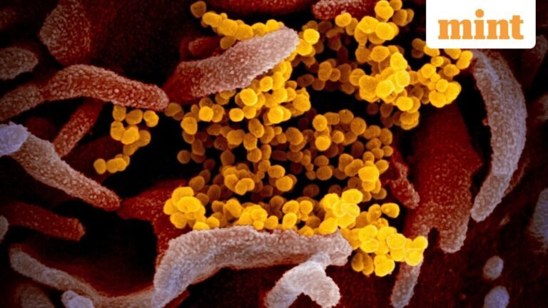 Do dust storms from western India cause respiratory and skin diseases in the eastern Himalayas? Study Reveals Disturbing Link | Today’s news