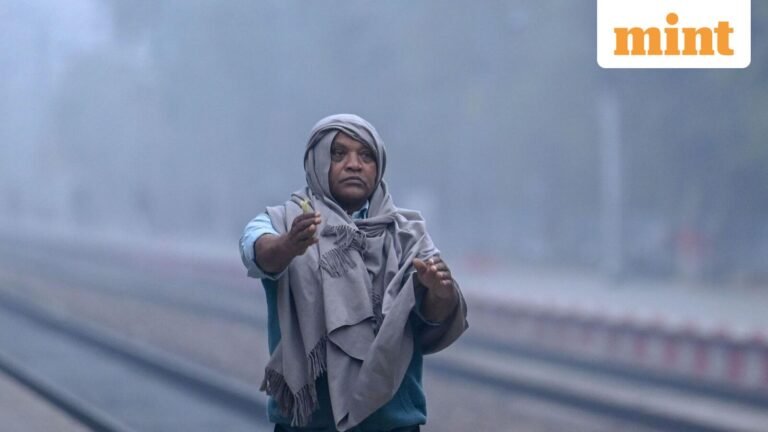 Cold dense fog persists over north India, says IMD | Today’s news