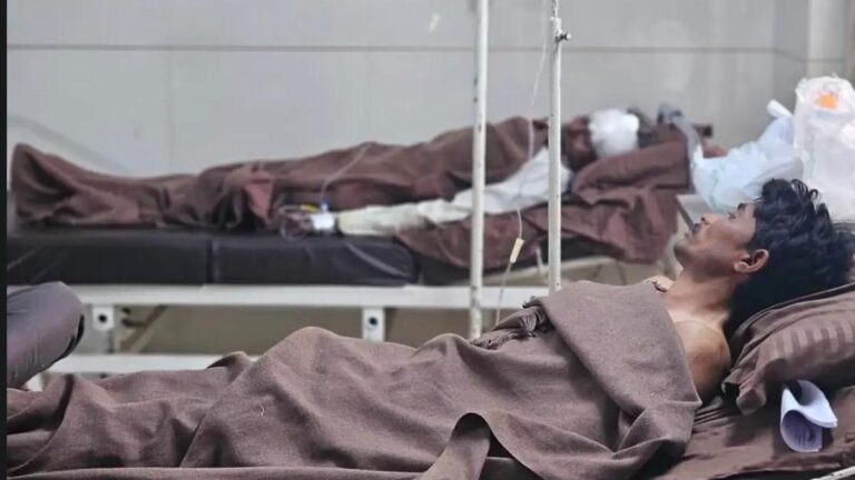 Farmer kills leopard in fight for survival under Wildlife Act