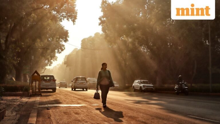 What is allowed and what is not in Delhi-NCR as CAQM removes the restrictions of GRAP-IV | Today’s news