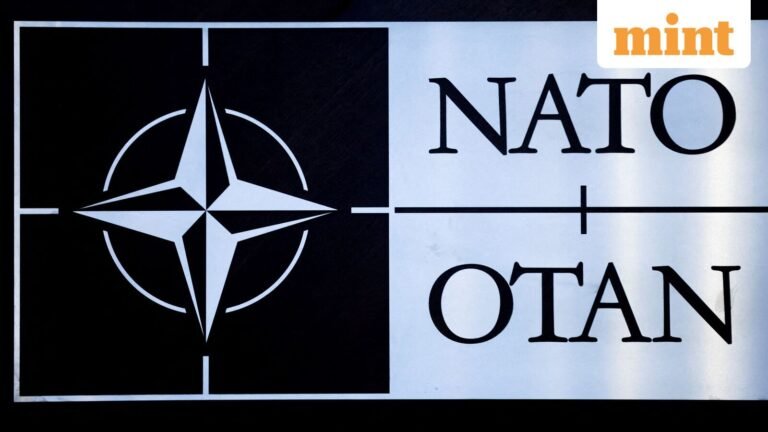 NATO versus NATO over Greenland? What is the alliance, who are its members and what does it actually do? | Today’s news
