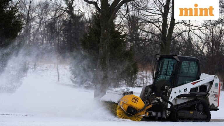 Risk of ‘exploding trees’ for Michigan, Minnesota as temperatures drop – Can trees explode due to extreme cold? | Today’s news