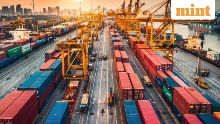 India Simplifies Export Documentation for West Asian and North African Markets | Today’s news