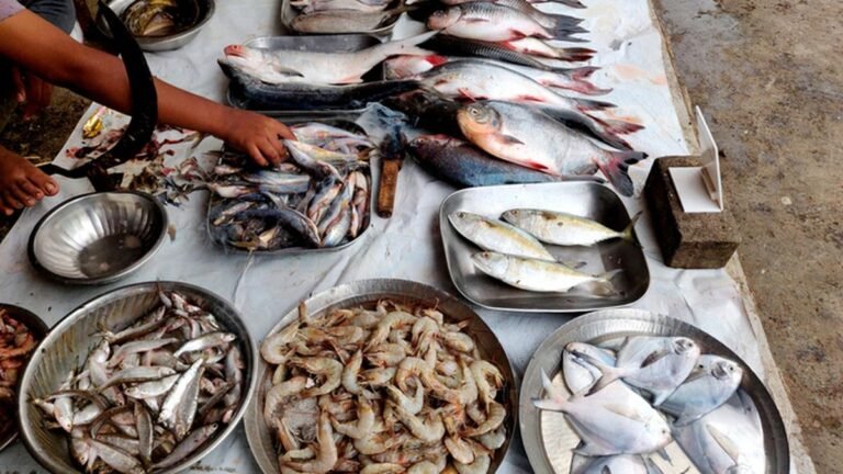 Diversify your fish basket to gain new markets: from rogu, catla to scampi, tilapia, pangasius