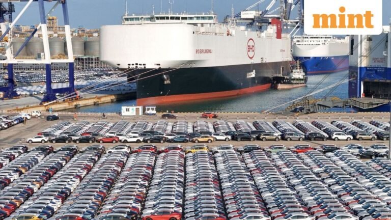 China seeks WTO panel against India, targets local PLI content rules