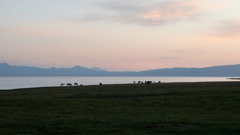 EFI sends member accused of rape as coach to Jordan, sports ministry issues announcement