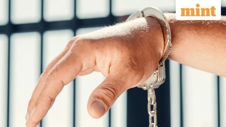 ‘Fake civilian helicopter’ deal lands Delhi businessman in US prison for 2.5 years — Here’s how | Today’s news