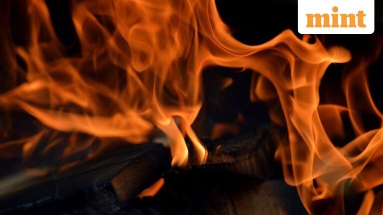 Six dead, 10 injured in Chhattisgarh factory blast; a chilling video appears | Today’s news