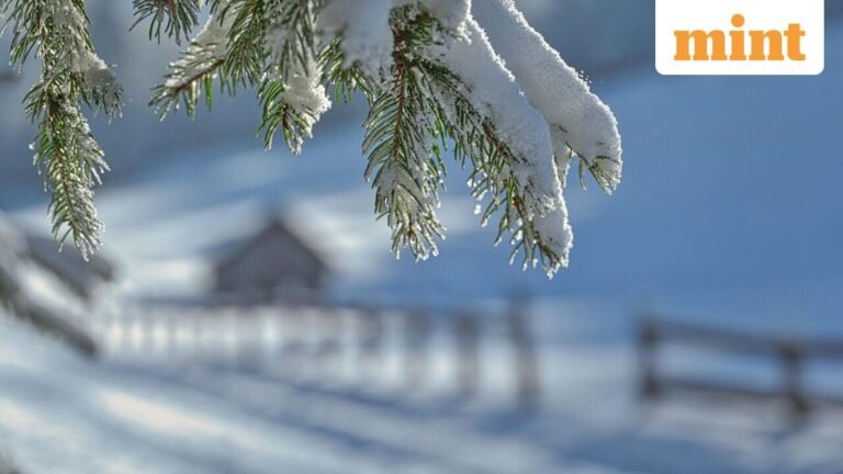 Nor’easter storm expected to bring heavy snow, high winds and blizzards to New York | Today’s news