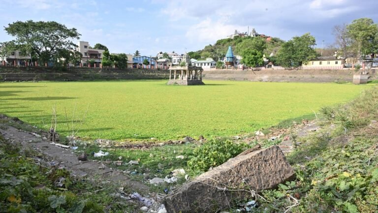 Rejuvenation of Tiruneermalai tank has begun, says executive officer of Madras HC temple