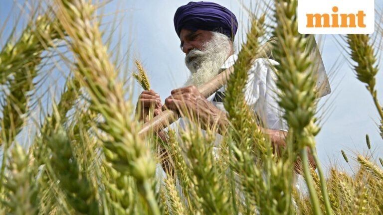 Farm outfits decry India-US trade deal as ‘total capitulation’ to America; call for nationwide protests on February 12 | Today’s news