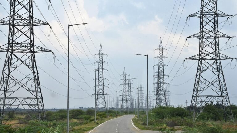 Inflexible power grids cause ‘dangerous’ situations, CEA chief says