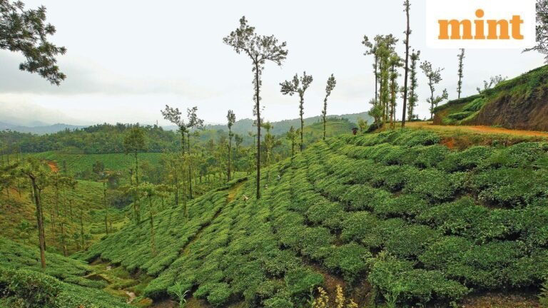 Union Cabinet approves proposal to rename Kerala as Keralam in poll year | Today’s news