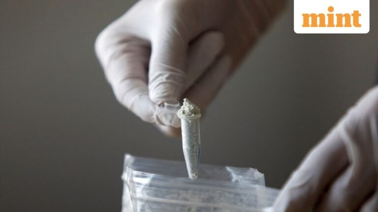 India is trying to tighten drug laws to curb opiate abuse