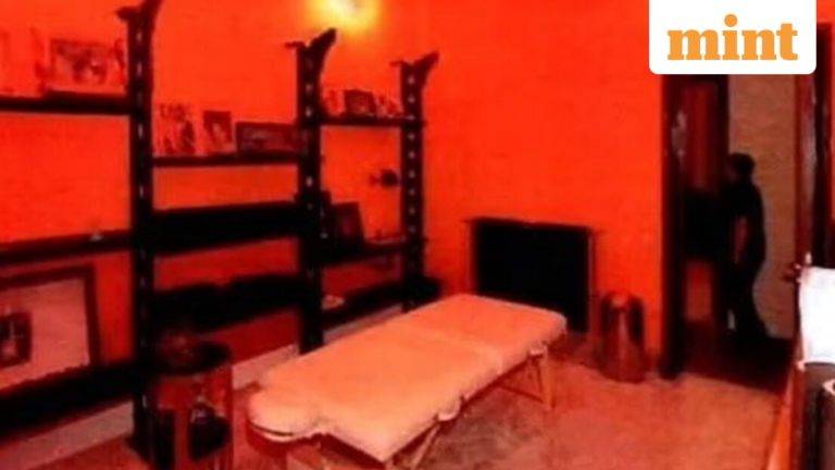Epstein: Eerie room with red walls, bizarre decor – new pictures reveal chilling details of Paris child sex offender’s lair | Today’s news