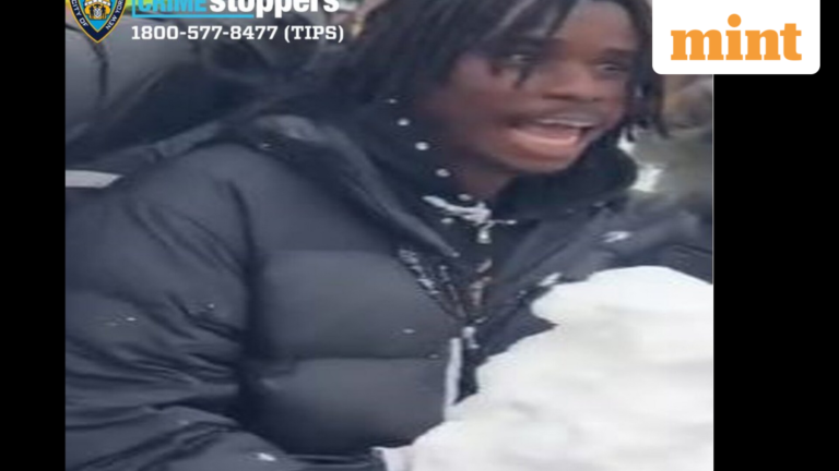 Man arrested in New York City snow globe pushed aside by Mayor Zohran Mamdani but called ‘disgraceful and criminal’ by police | Today’s news