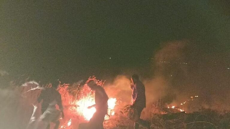 A bushfire in Horsley Hills was brought under control after hours of operations