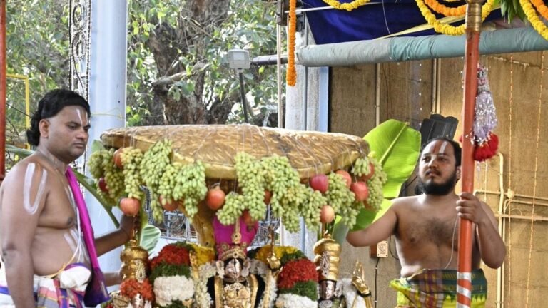 Kodandarama goes to Kalpavriksha Vahanam on the fourth day of Brahmotsavams in Tirupati