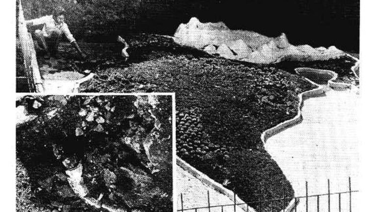 Ooty Botanical Garden Explosion: When an explosion was set off in India map to protest the imposition of Hindi